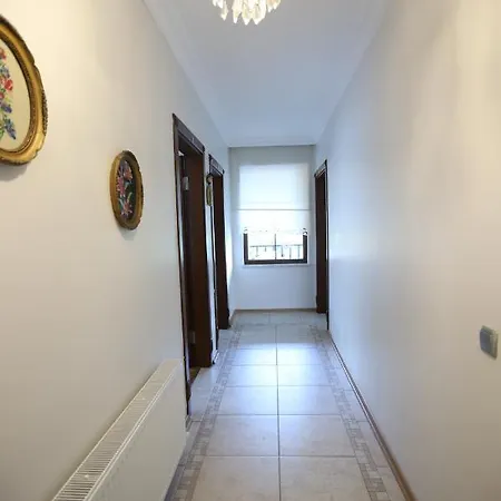 Sapanca Palmiye Homes Villa *