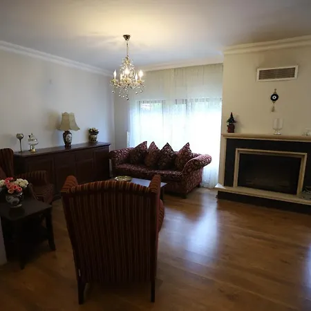 Sapanca Palmiye Homes Villa *
