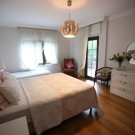 Sapanca Palmiye Homes Villa *